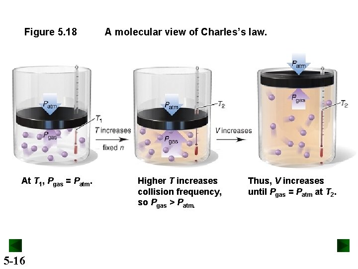 Figure 5. 18 At T 1, Pgas = Patm. 5 -16 A molecular view