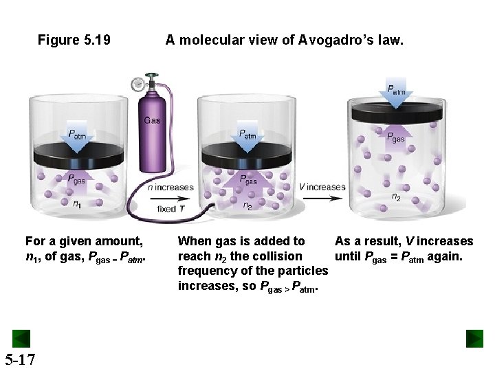 Figure 5. 19 For a given amount, n 1, of gas, Pgas = Patm.