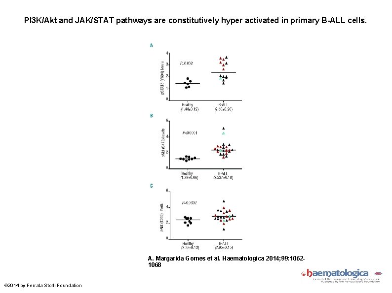 PI 3 K/Akt and JAK/STAT pathways are constitutively hyper activated in primary B-ALL cells.