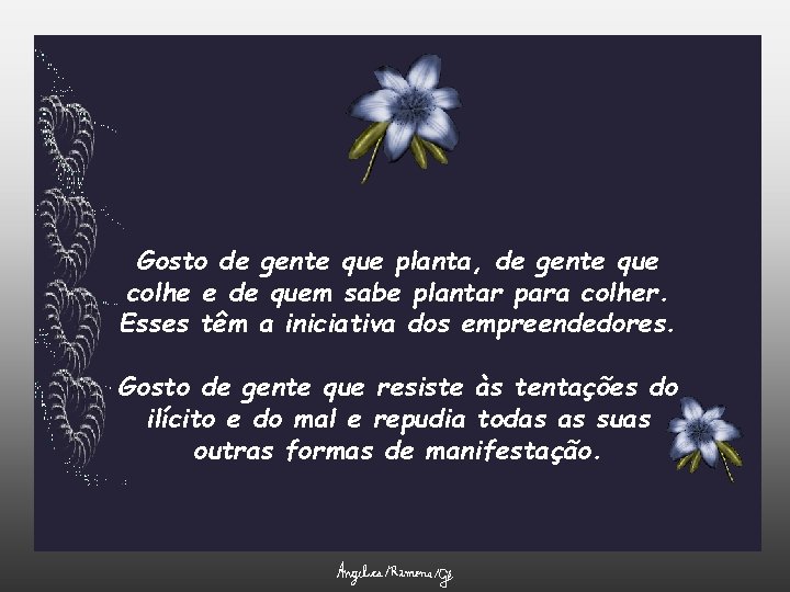 Gosto de gente que planta, de gente que colhe e de quem sabe plantar