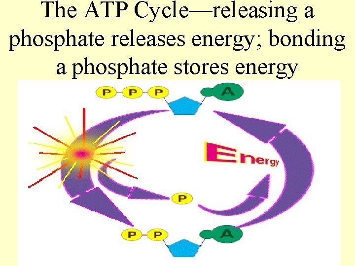 Why is it Important to Learn About Energy