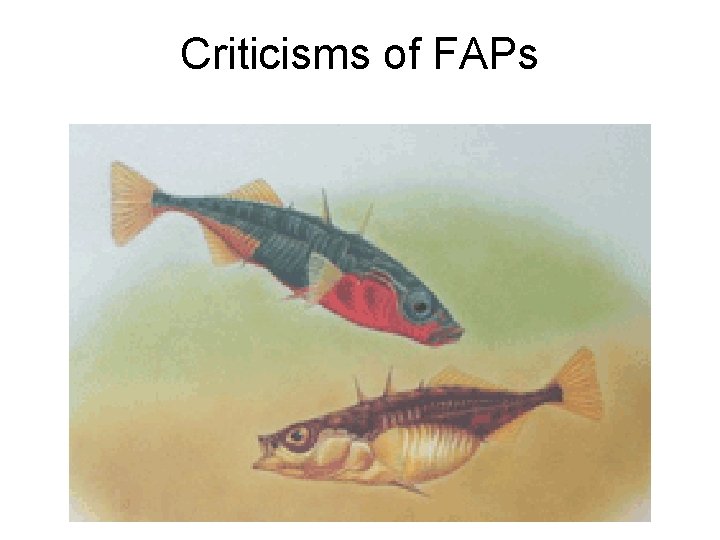 Criticisms of FAPs 