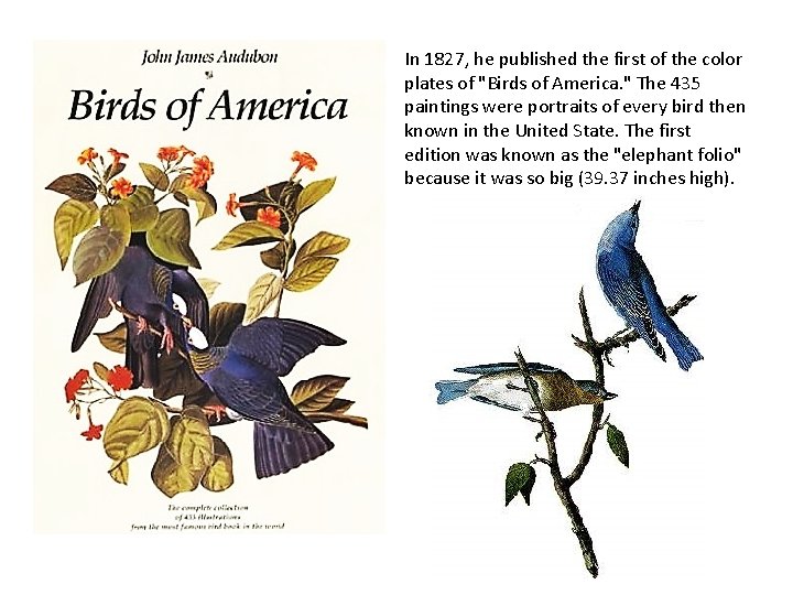 In 1827, he published the first of the color plates of "Birds of America.