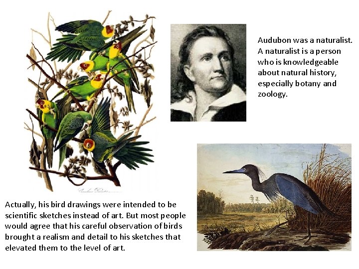 Audubon was a naturalist. A naturalist is a person who is knowledgeable about natural