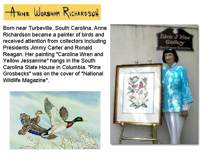 Born near Turbeville, South Carolina, Anne Richardson became a painter of birds and received