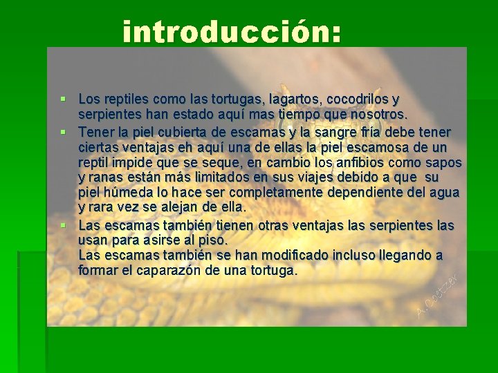 introducción: § Los reptiles como las tortugas, lagartos, cocodrilos y serpientes han estado aquí