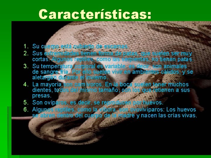 Características: 1. Su cuerpo está cubierto de escamas. 2. Sus extremidades tienen forma de