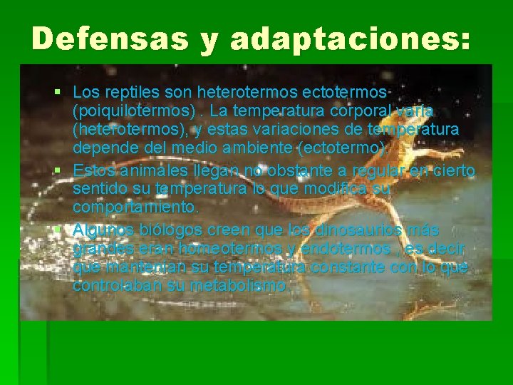 Defensas y adaptaciones: § Los reptiles son heterotermos ectotermos (poiquilotermos). La temperatura corporal varía