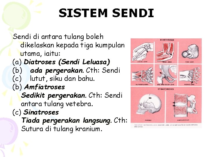 SISTEM SENDI Sendi di antara tulang boleh dikelaskan kepada tiga kumpulan utama, iaitu: (a)