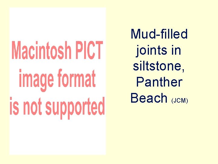 Mud-filled joints in siltstone, Panther Beach (JCM) 