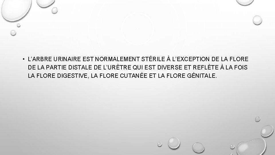  • L’ARBRE URINAIRE EST NORMALEMENT STÉRILE À L’EXCEPTION DE LA FLORE DE LA