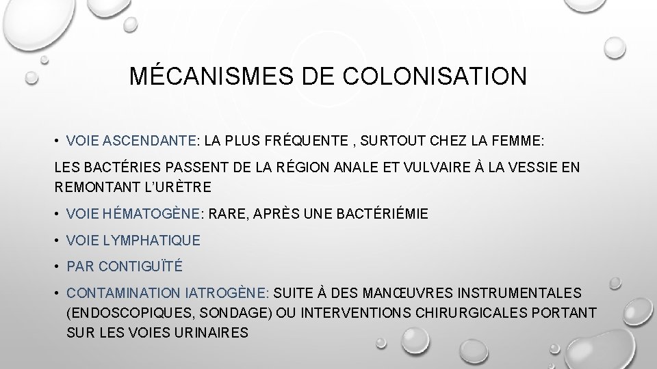 MÉCANISMES DE COLONISATION • VOIE ASCENDANTE: LA PLUS FRÉQUENTE , SURTOUT CHEZ LA FEMME: