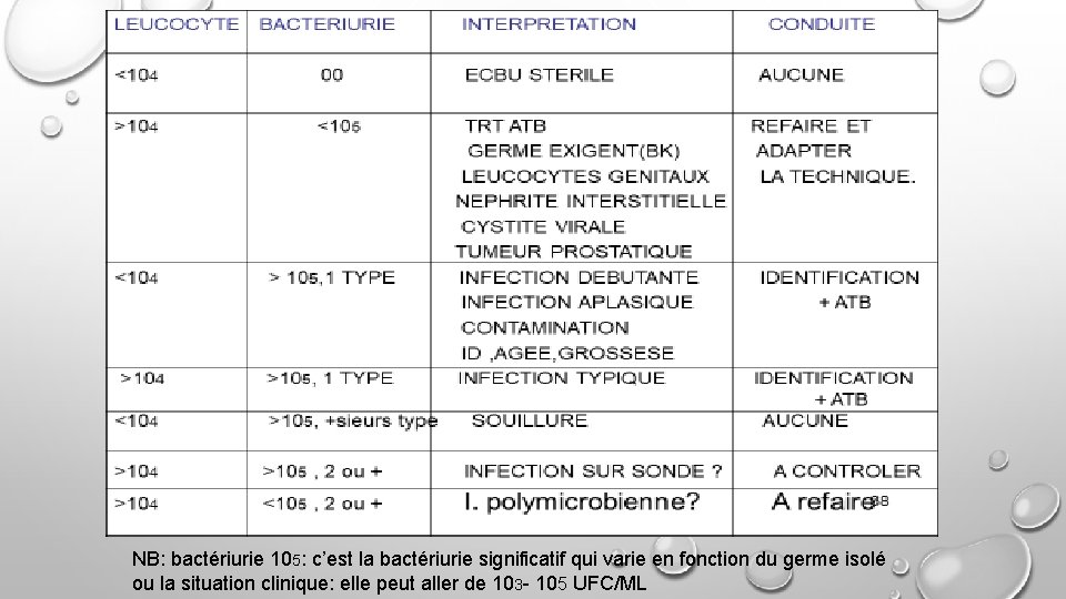 NB: bactériurie 105: c’est la bactériurie significatif qui varie en fonction du germe isolé