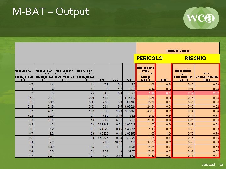 M-BAT – Output PERICOLO RISCHIO June 2016 12 