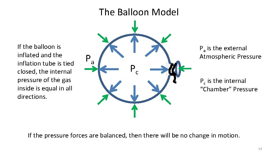 The Balloon Model If the balloon is inflated and the inflation tube is tied