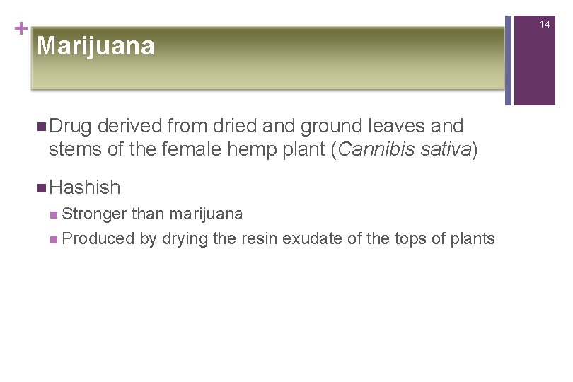 + 14 Marijuana n Drug derived from dried and ground leaves and stems of