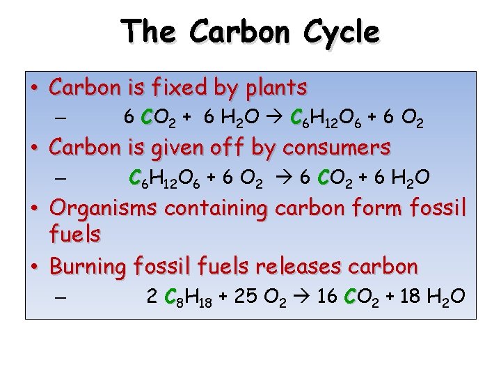 The Carbon Cycle • Carbon is fixed by plants – 6 CO 2 +