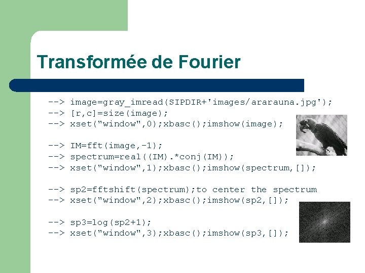 Transformée de Fourier --> image=gray_imread(SIPDIR+'images/ararauna. jpg'); --> [r, c]=size(image); --> xset("window", 0); xbasc(); imshow(image);