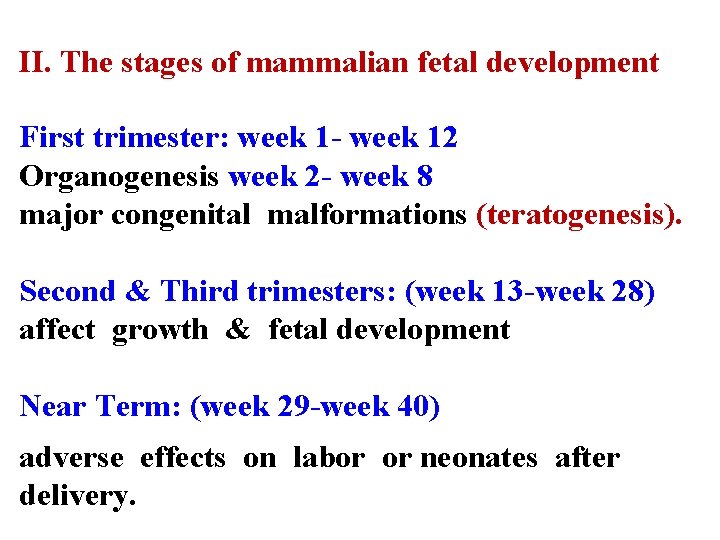 II. The stages of mammalian fetal development First trimester: week 1 - week 12