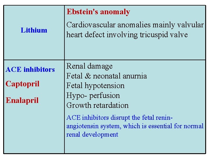 Ebstein's anomaly Lithium ACE inhibitors Captopril Enalapril Cardiovascular anomalies mainly valvular heart defect involving