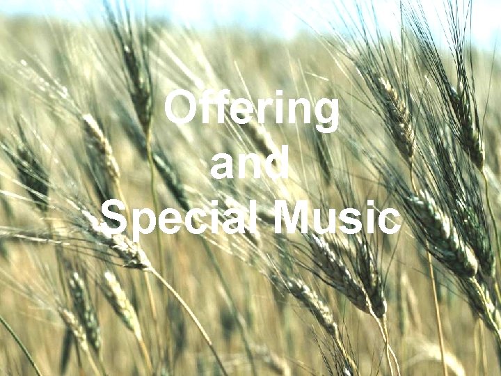 Offering WELCOME TO and THE UNITED BRETHREN IN CHRIST CHURCH Special Music 