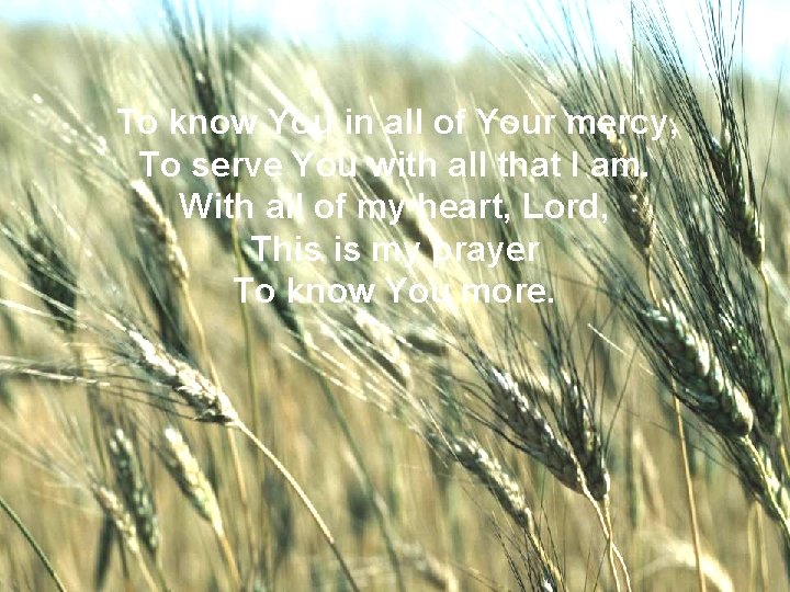 To know You in all of Your mercy, To serve You with all that