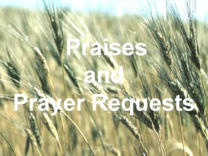 Praises WELCOME TO THE UNITED BRETHREN and IN CHRIST CHURCH Prayer Requests 