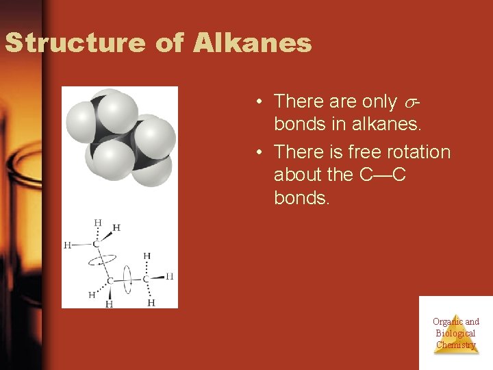 Structure of Alkanes • There are only bonds in alkanes. • There is free