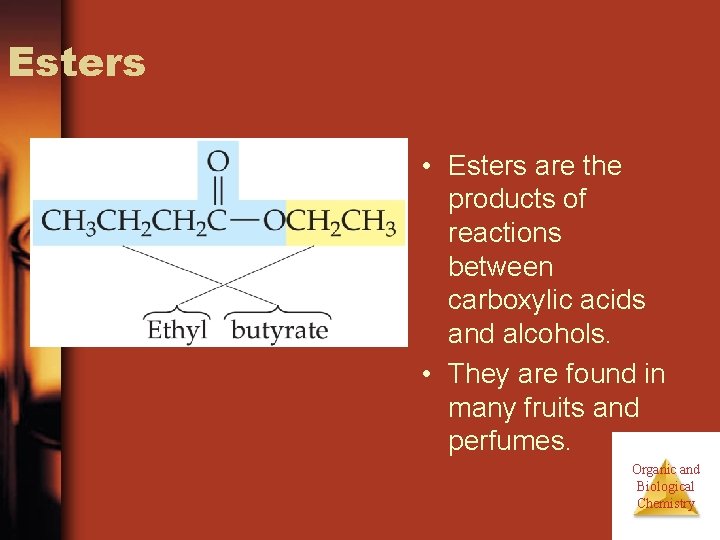 Esters • Esters are the products of reactions between carboxylic acids and alcohols. • Esters • Esters are the products of reactions between carboxylic acids and alcohols. •