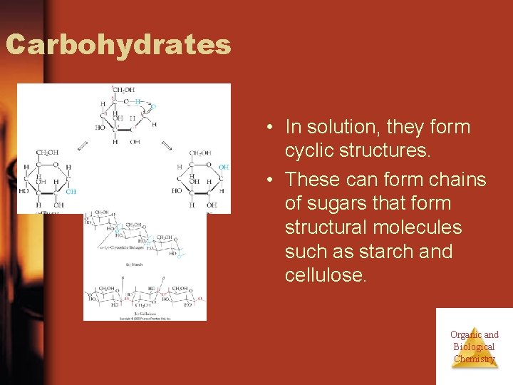 Carbohydrates • In solution, they form cyclic structures. • These can form chains of