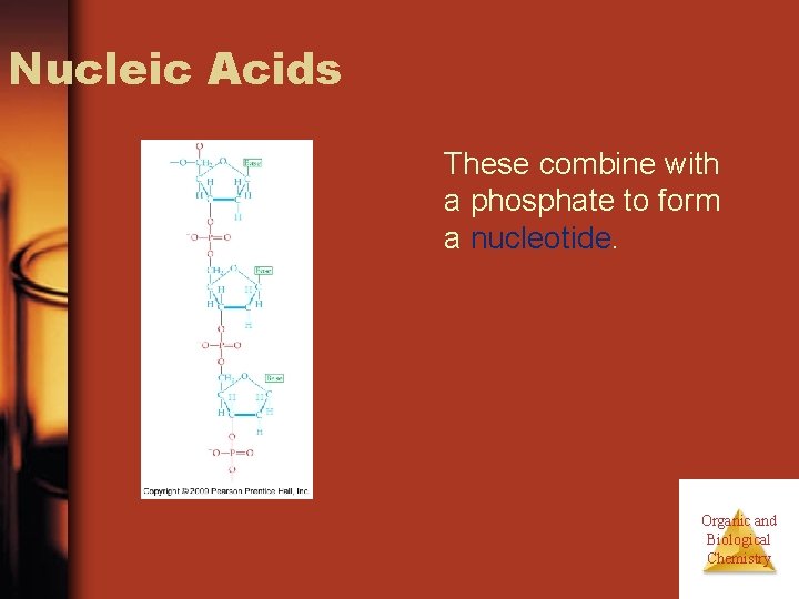 Nucleic Acids These combine with a phosphate to form a nucleotide. Organic and Biological Nucleic Acids These combine with a phosphate to form a nucleotide. Organic and Biological
