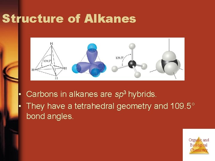 Structure of Alkanes • Carbons in alkanes are sp 3 hybrids. • They have