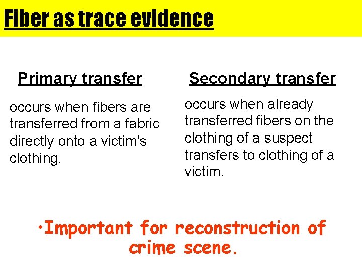 Fiber as trace evidence Primary transfer occurs when fibers are transferred from a fabric