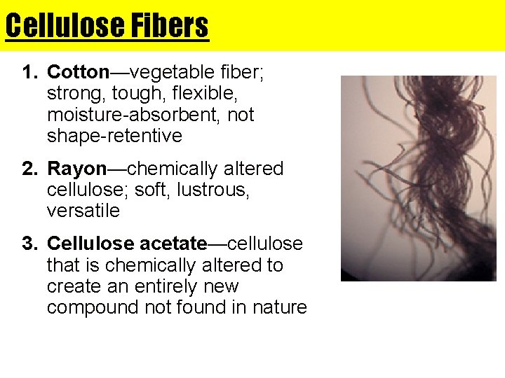 Cellulose Fibers 1. Cotton—vegetable fiber; strong, tough, flexible, moisture-absorbent, not shape-retentive 2. Rayon—chemically altered