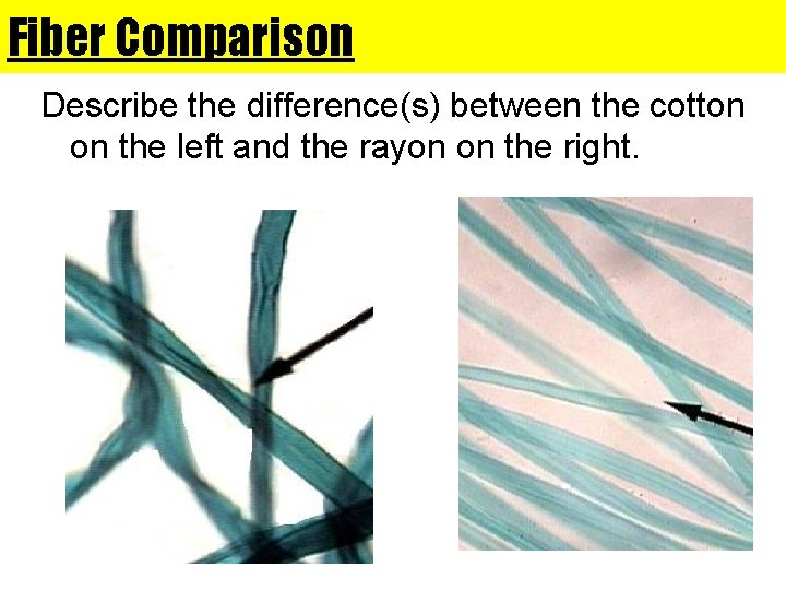 Fiber Comparison Describe the difference(s) between the cotton on the left and the rayon