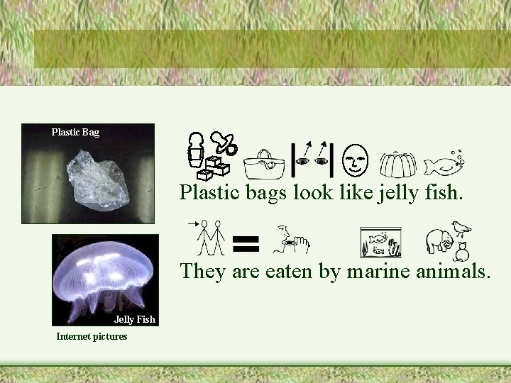 Plastic Bag Plastic bags look like jelly fish. They are eaten by marine animals.