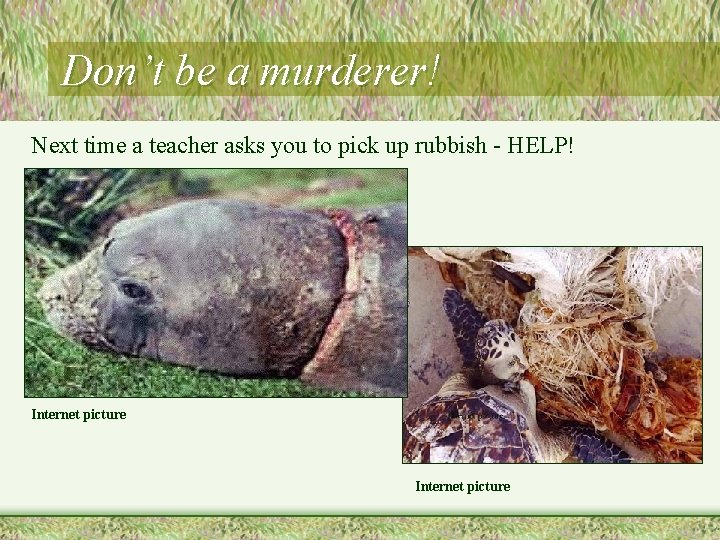 Don’t be a murderer! Next time a teacher asks you to pick up rubbish