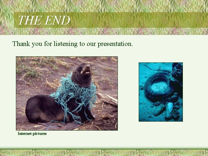 THE END Thank you for listening to our presentation. Internet pictures 