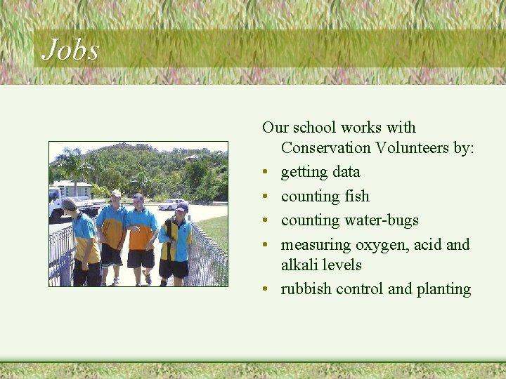 Jobs Our school works with Conservation Volunteers by: • getting data • counting fish