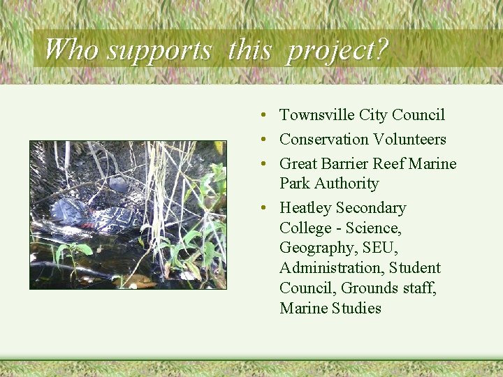 Who supports this project? • Townsville City Council • Conservation Volunteers • Great Barrier