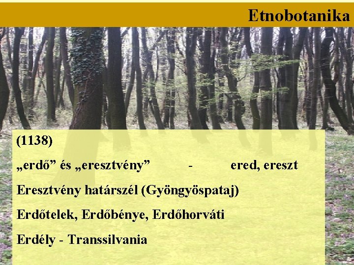 Etnobotanika (1138) „erdő” és „eresztvény” - ered, ereszt Eresztvény határszél (Gyöngyöspataj) Erdőtelek, Erdőbénye, Erdőhorváti