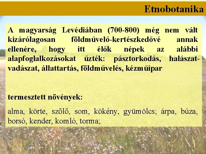 Etnobotanika A magyarság Levédiában (700 -800) még nem vált kizárólagosan földművelő-kertészkedővé annak ellenére, hogy