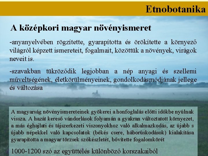 Etnobotanika A középkori magyar növényismeret -anyanyelvében rögzítette, gyarapította és örökítette a környező világról képzett