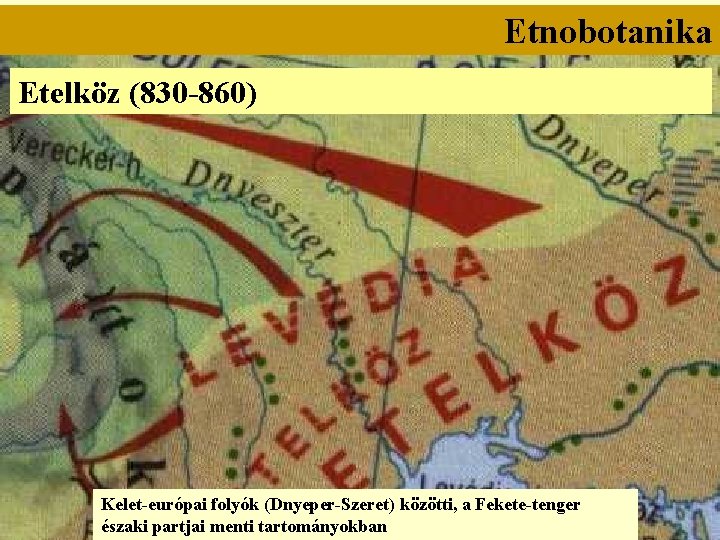 Etnobotanika Etelköz (830 -860) Kelet-európai folyók (Dnyeper-Szeret) közötti, a Fekete-tenger északi partjai menti tartományokban