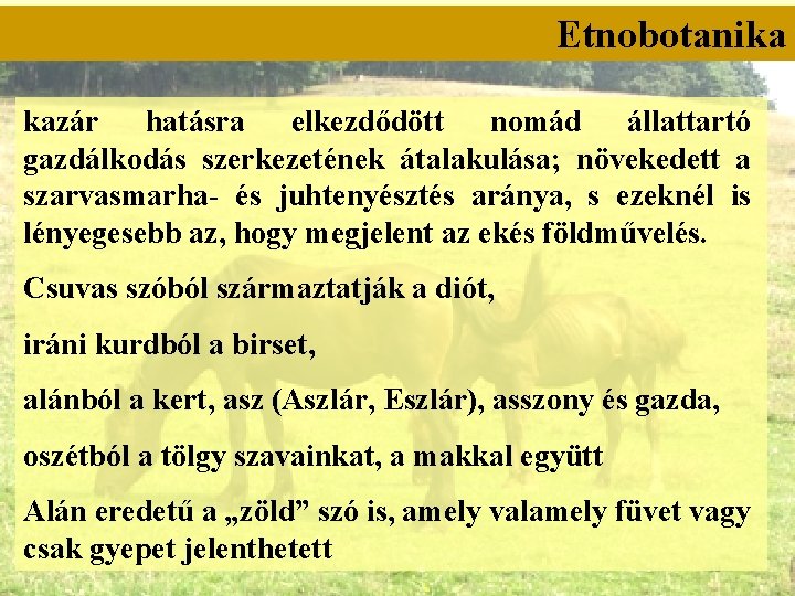 Etnobotanika kazár hatásra elkezdődött nomád állattartó gazdálkodás szerkezetének átalakulása; növekedett a szarvasmarha- és juhtenyésztés