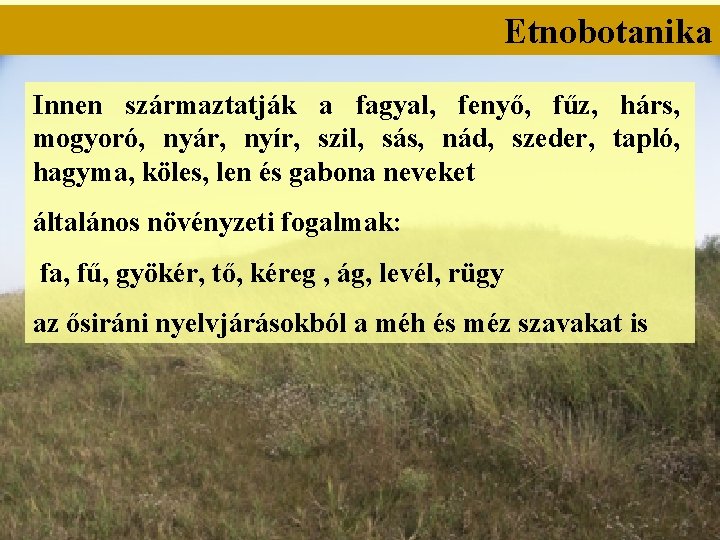 Etnobotanika Innen származtatják a fagyal, fenyő, fűz, hárs, mogyoró, nyár, nyír, szil, sás, nád,