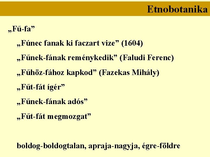 Etnobotanika „Fű-fa” „Fúnec fanak ki faczart vize” (1604) „Fűnek-fának reménykedik” (Faludi Ferenc) „Fűhöz-fához kapkod”