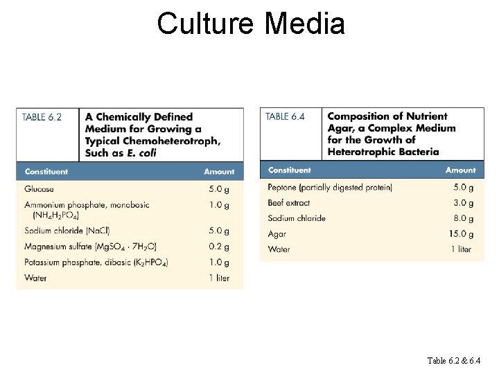 Culture Media Table 6. 2 & 6. 4 