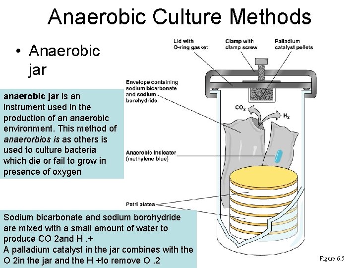 Anaerobic Culture Methods • Anaerobic jar anaerobic jar is an instrument used in the