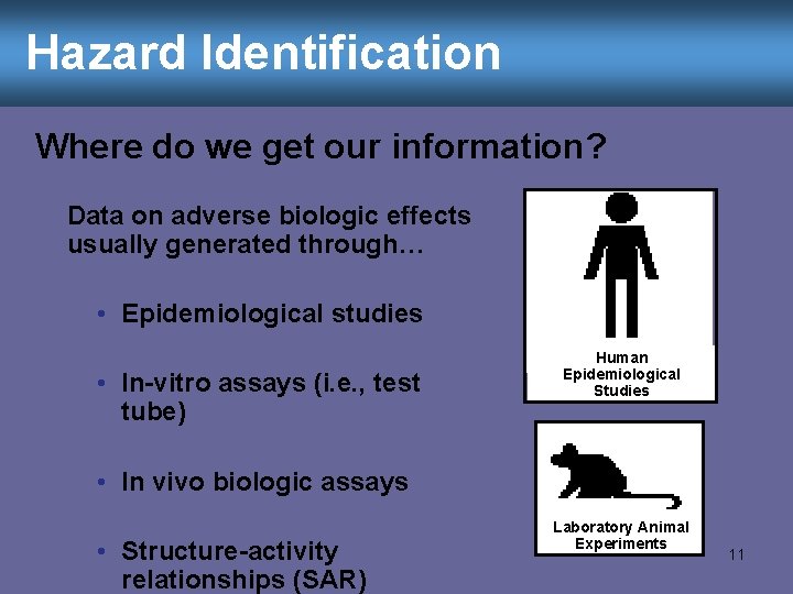 Hazard Identification Where do we get our information? Data on adverse biologic effects usually